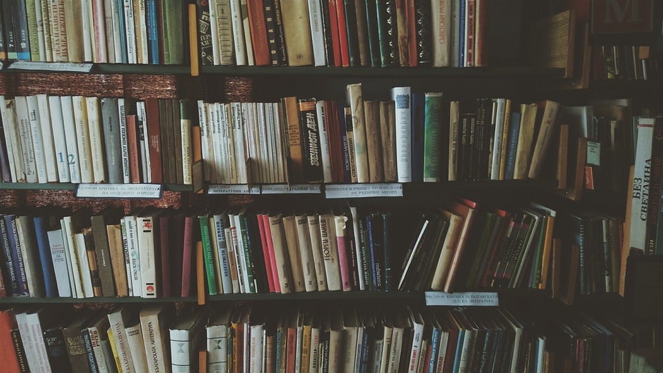 Bookshelf filled with books.